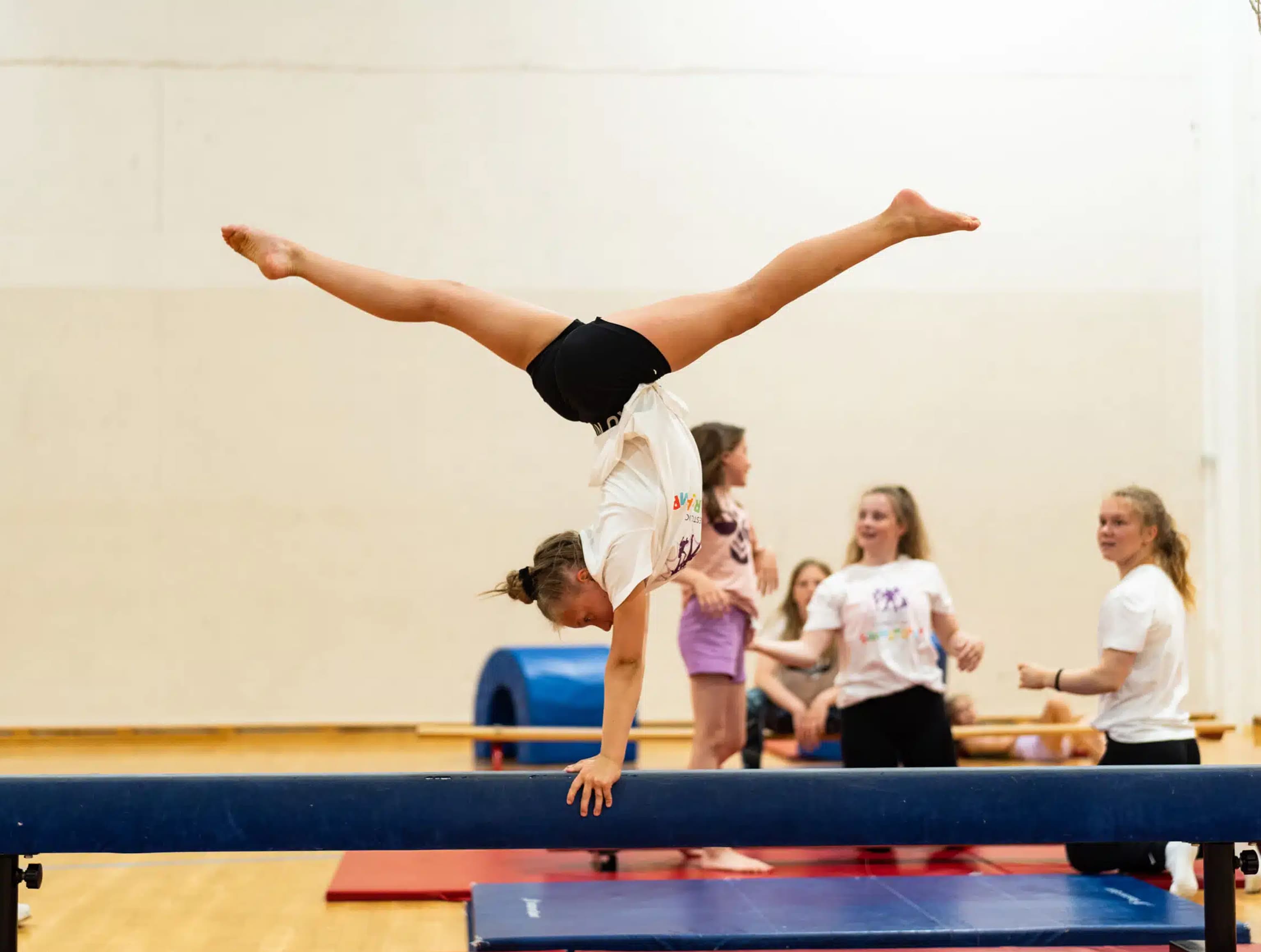 Turn Nybegynner — Turn hos Catchy Dansestudio